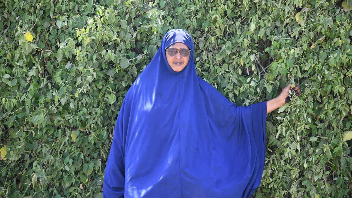 Fatuma photo