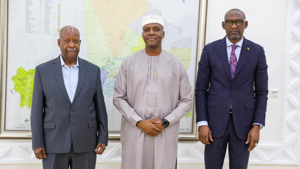 SRSG Simao meeting with Prime Minister and MoFA of Mali