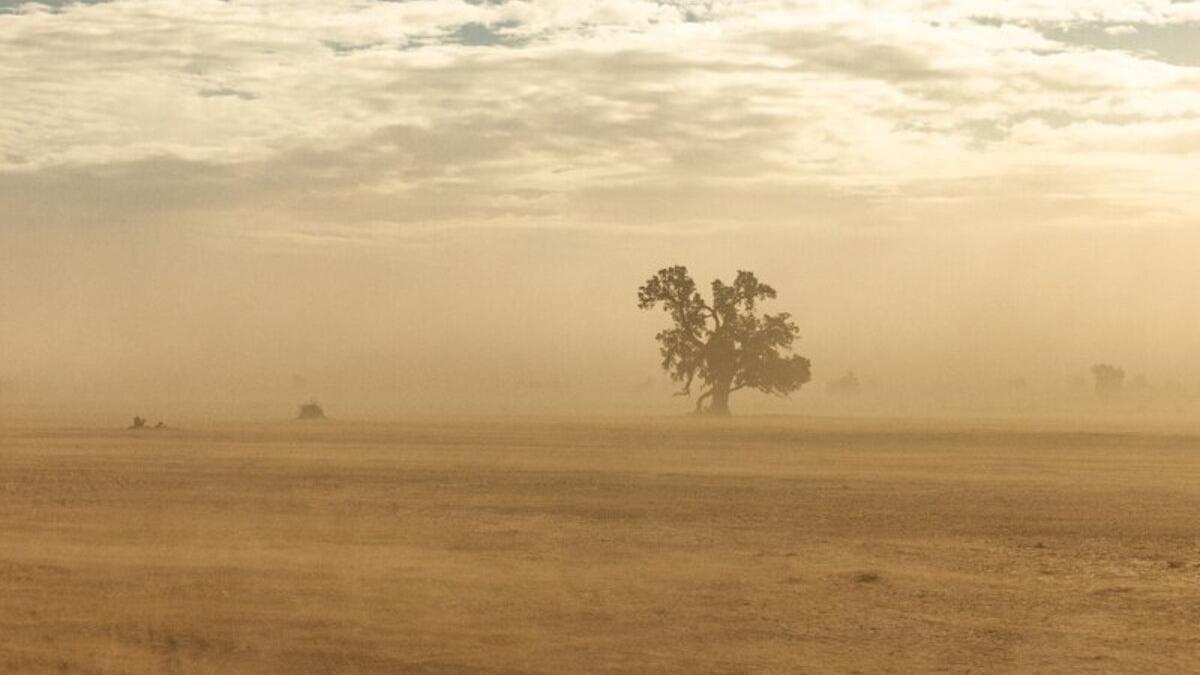 Unsplash/Armands Brants