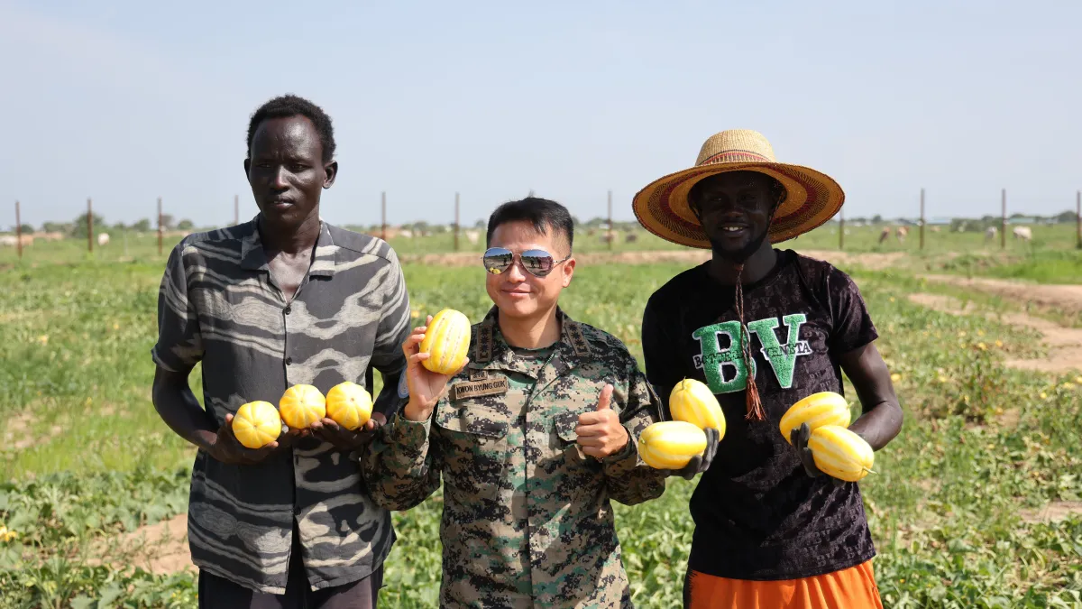 CIMIC activities