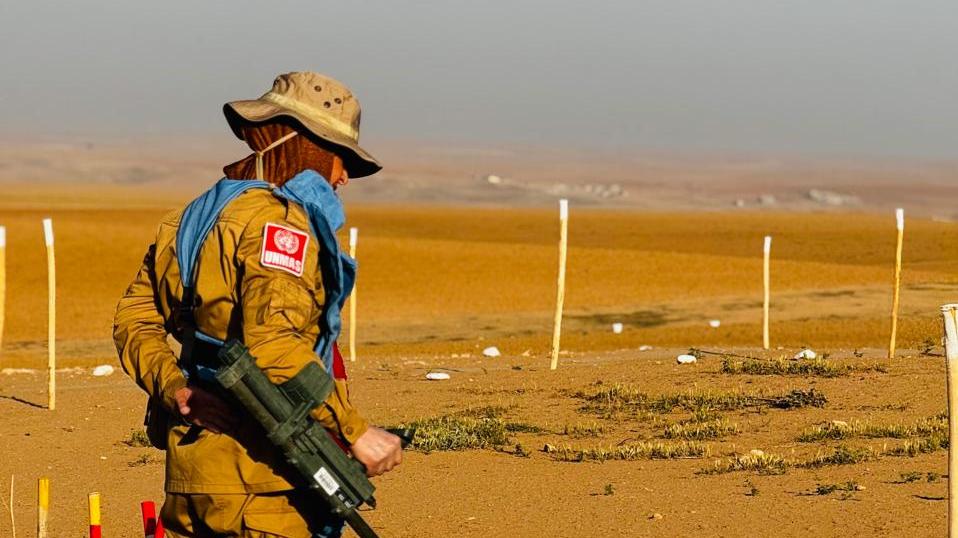 a woman is conducting mine clearance operation in a field