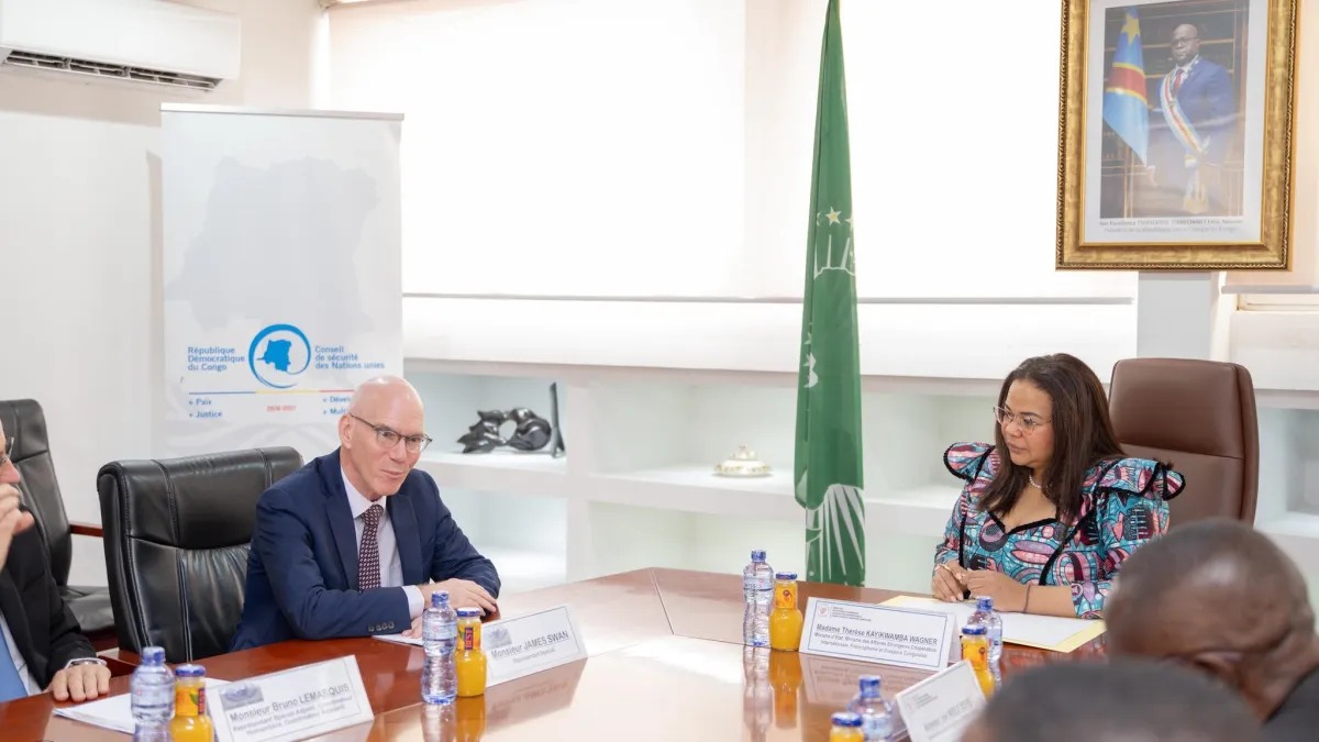 MONUSCO Head James Swan meets Minister of Foreign Affairs 86710916-7f38-4a0c-a0a4-6207c9d48aee.jpeg