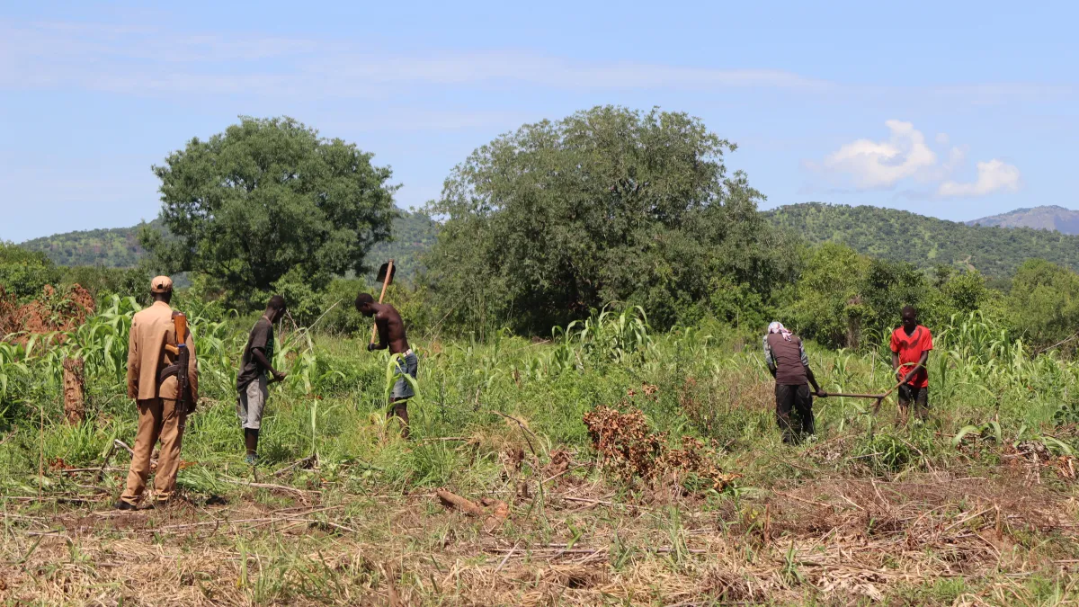 prisoners farming