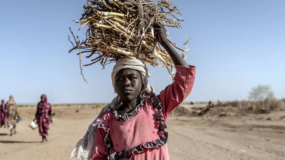 A girl carries firewood at a site for displaced people in Tawila in the Sudanese region of North Darfur.