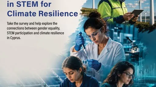 UNDP Survey