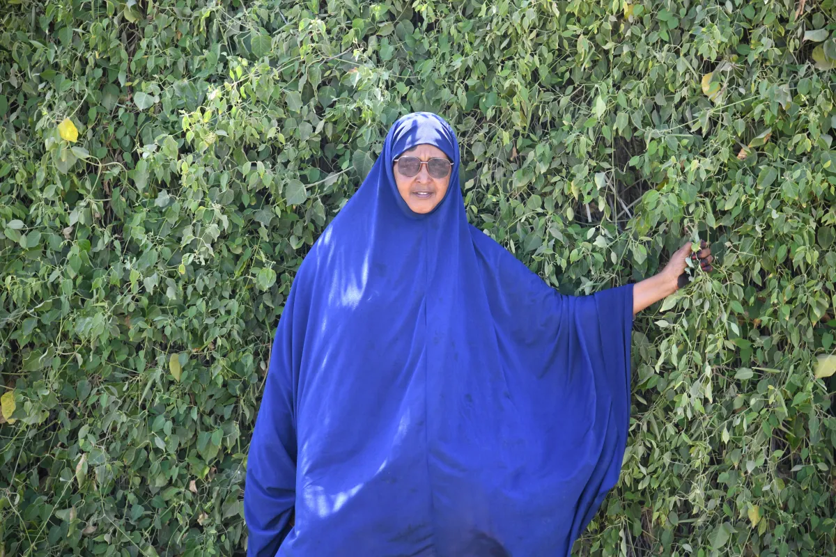Fatuma photo