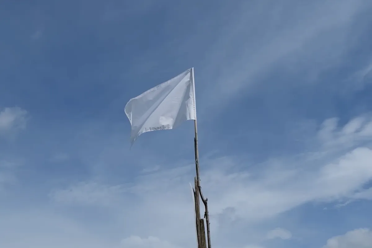 Día de la Paz 2025