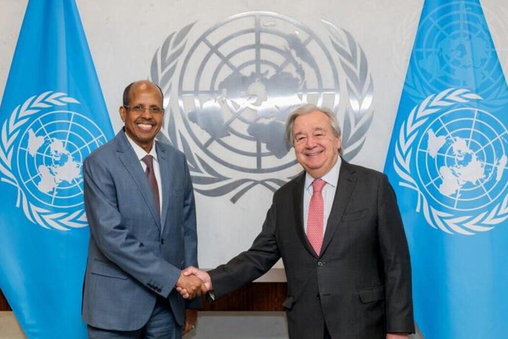 Ninth African Union-United Nations Annual Conference