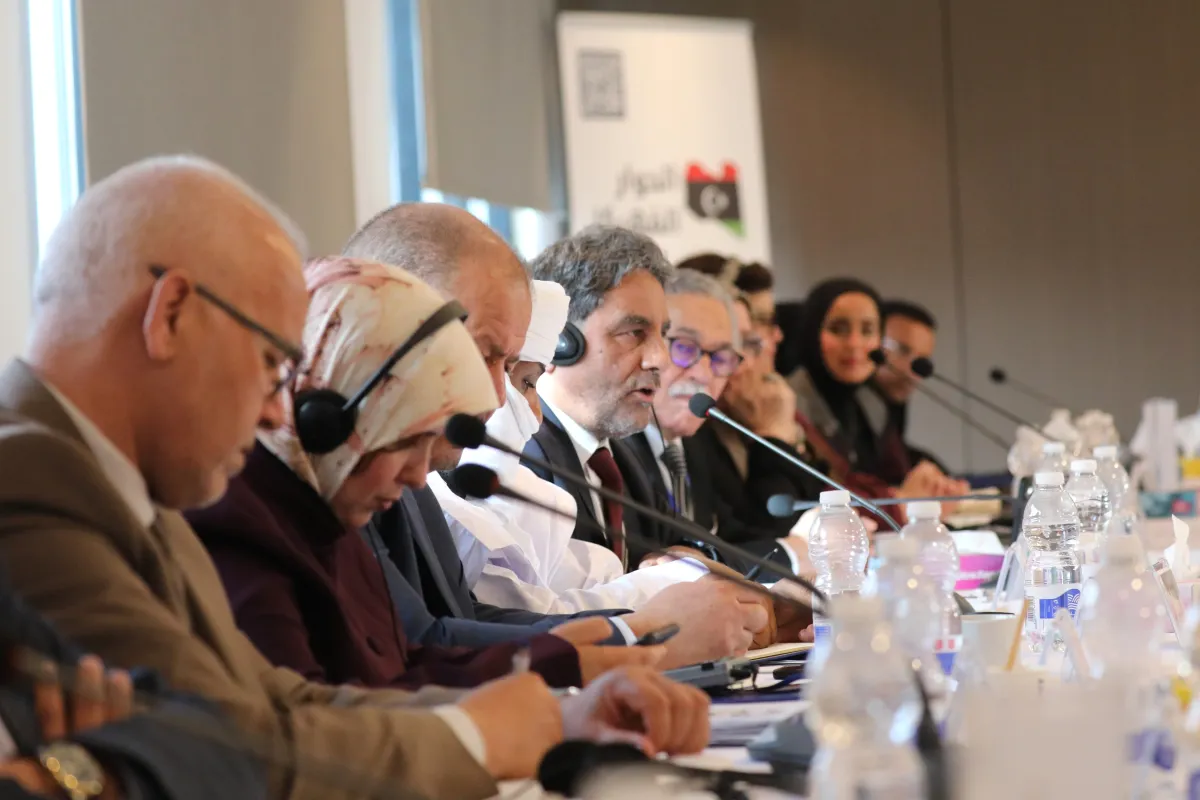 Members of the governance track of the structured dialogue in a meeting with the PWG members states