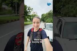 Captain Vanessa Von Viràg