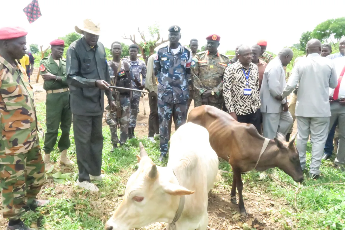 cattle agreement rokon