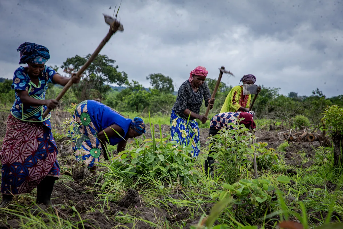 2026-05-06-projet_cvr_agriculture_bouboui_pk3_0100.jpg