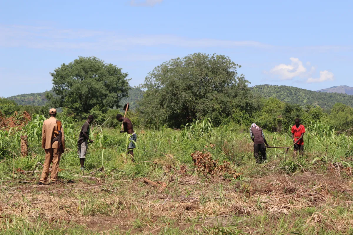 prisoners farming