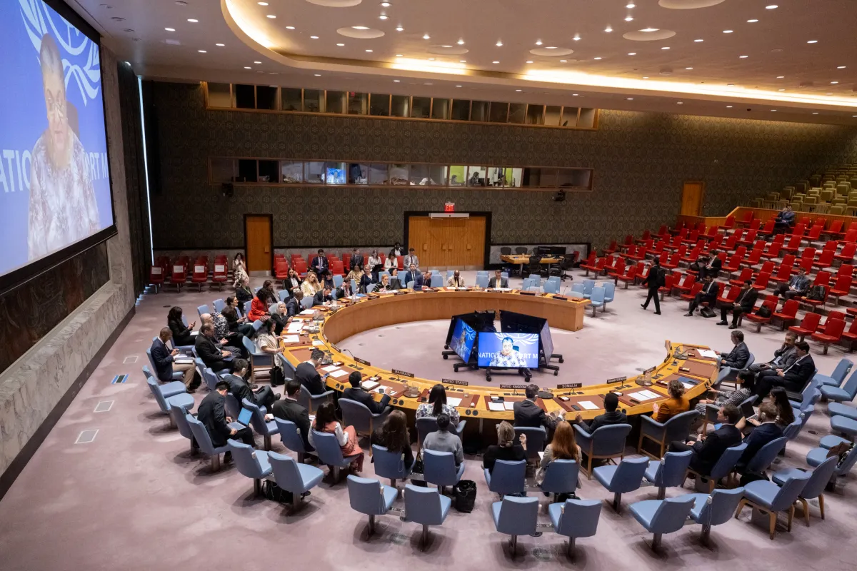 Hanna Tetteh briefing the UN Security Council