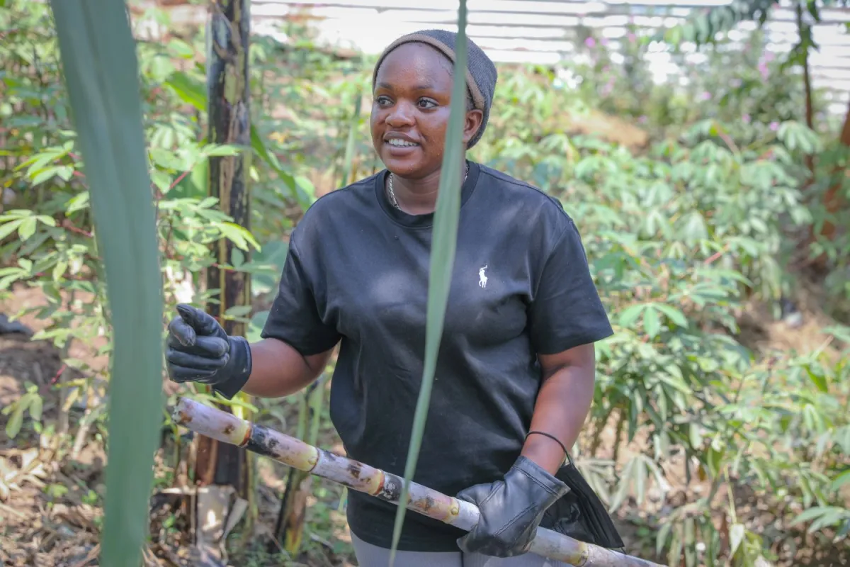 Job skills training in Ituri