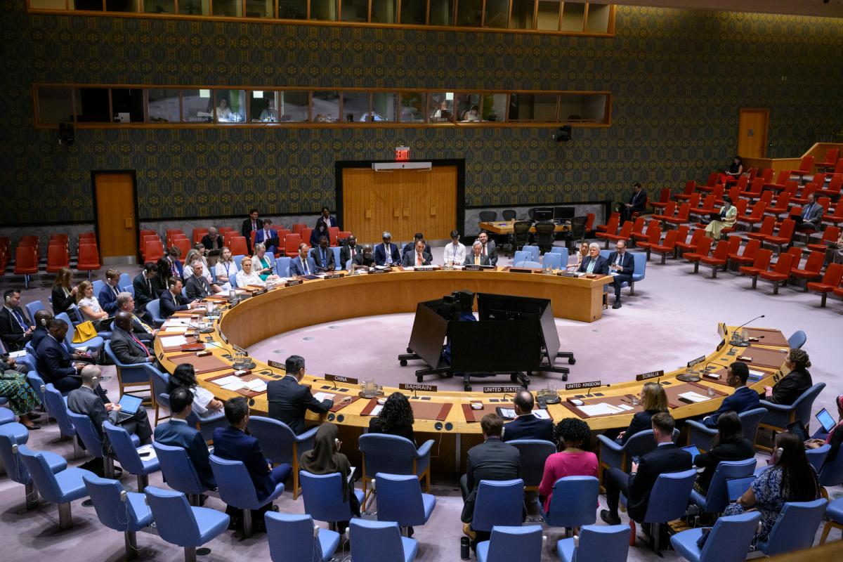 A view of the Security Council.