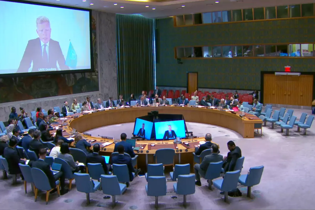 Security Council briefing 