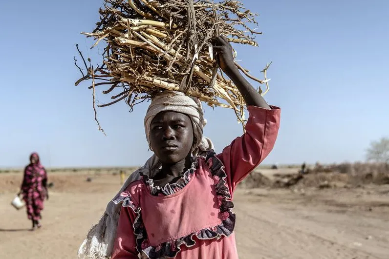 A girl carries firewood at a site for displaced people in Tawila in the Sudanese region of North Darfur.