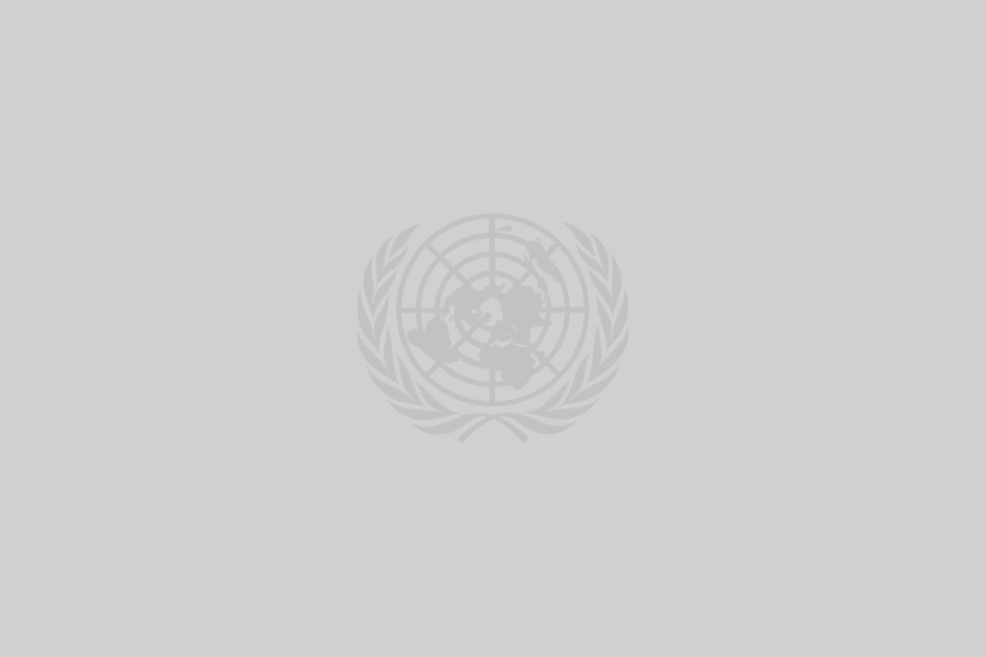 United Nations logo