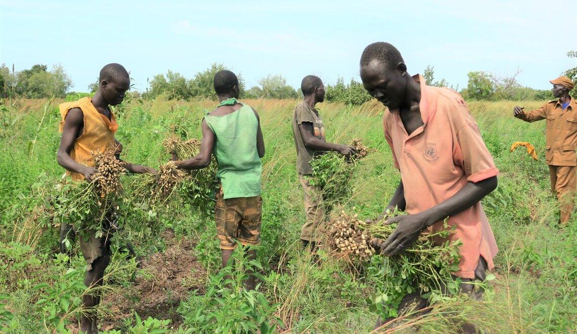 People standing in field