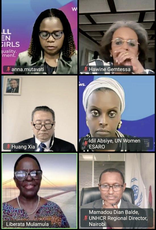 Special Envoy's meeting on WPS